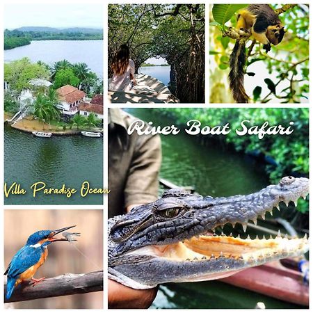 Villa Paradise Ocean Bentota Zewnętrze zdjęcie