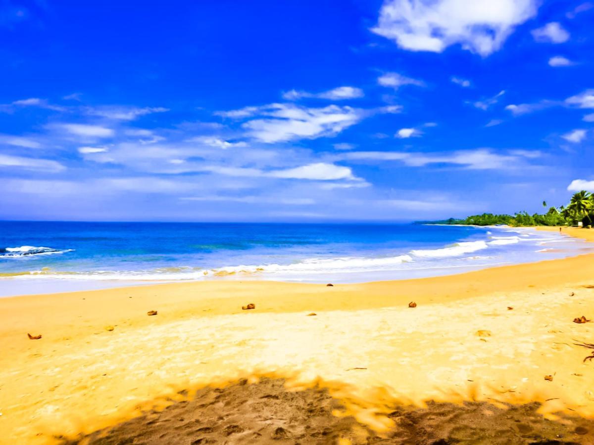 Villa Paradise Ocean Bentota Zewnętrze zdjęcie