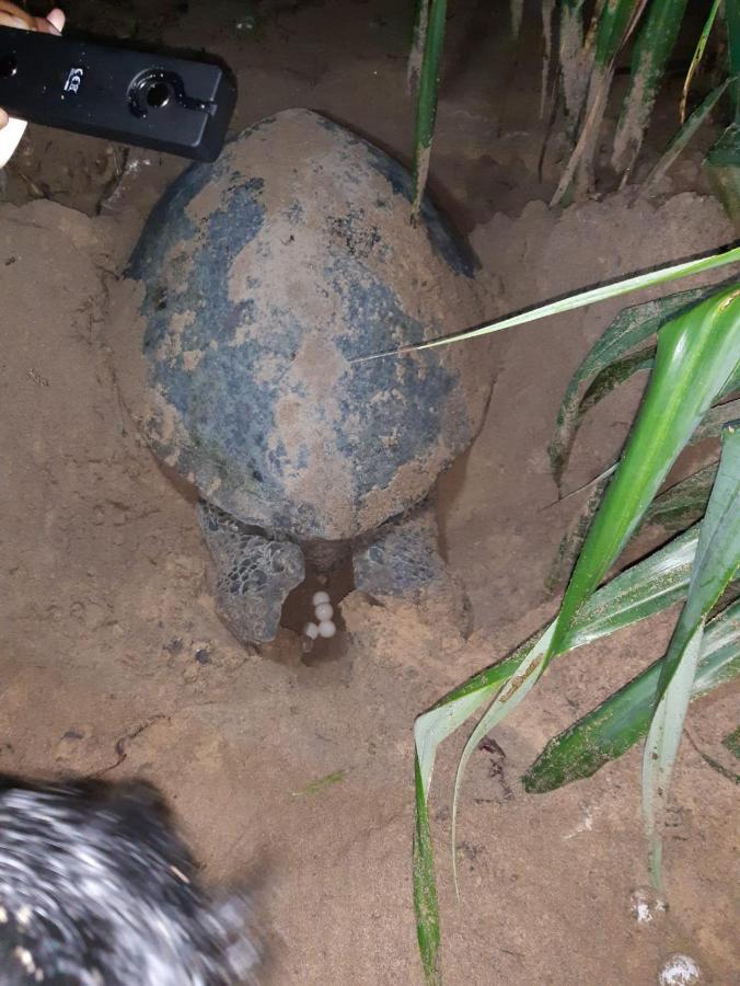 Villa Paradise Ocean Bentota Zewnętrze zdjęcie